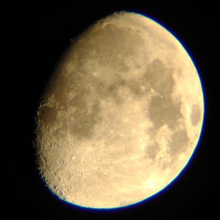 DSC_0010.jpg