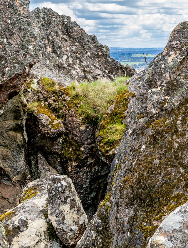 _DSC8500.jpg