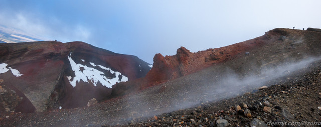 _DSC1300.jpg