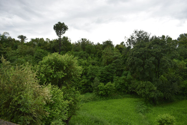 DSC_0599.JPG