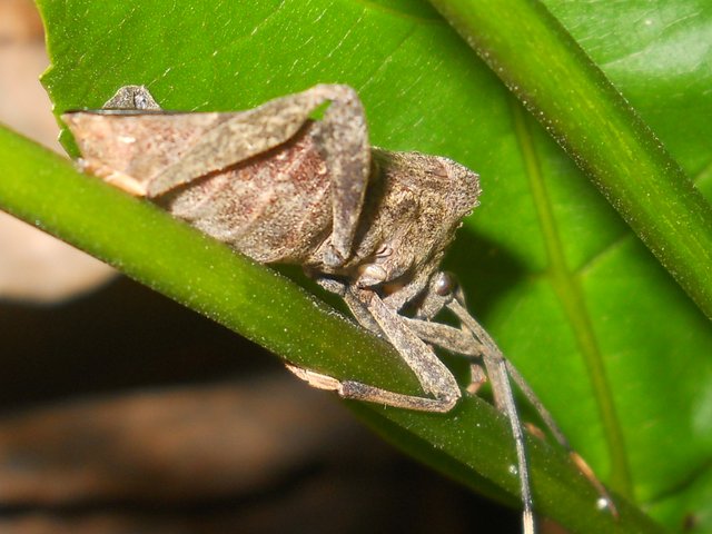 RSCN5114.JPG