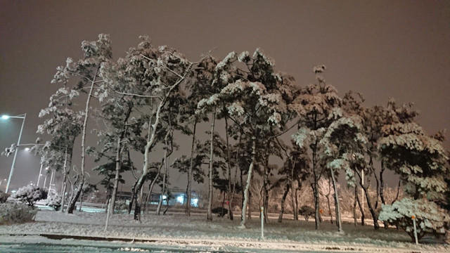 DSC_1092.JPG