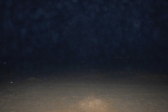 DSCF9751.jpg