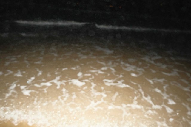 DSCF9759.jpg
