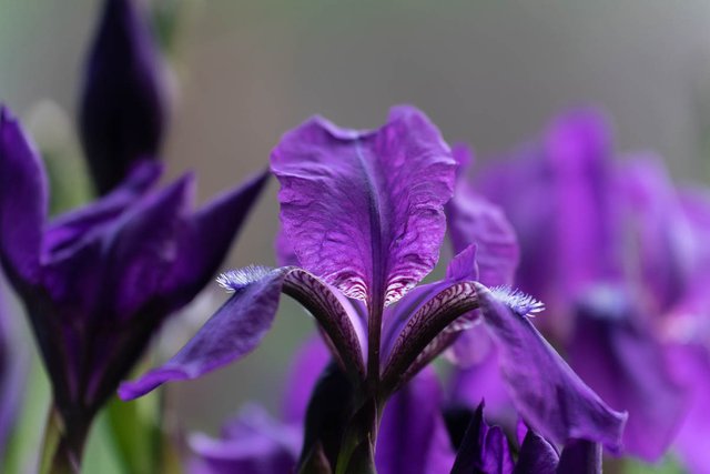 DSC04090.jpg