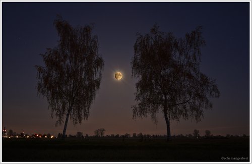 Kein Bild