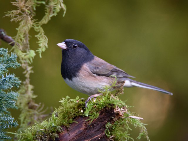 DSC_5927.jpg