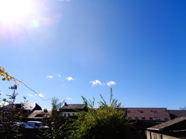 DSC02678.JPG