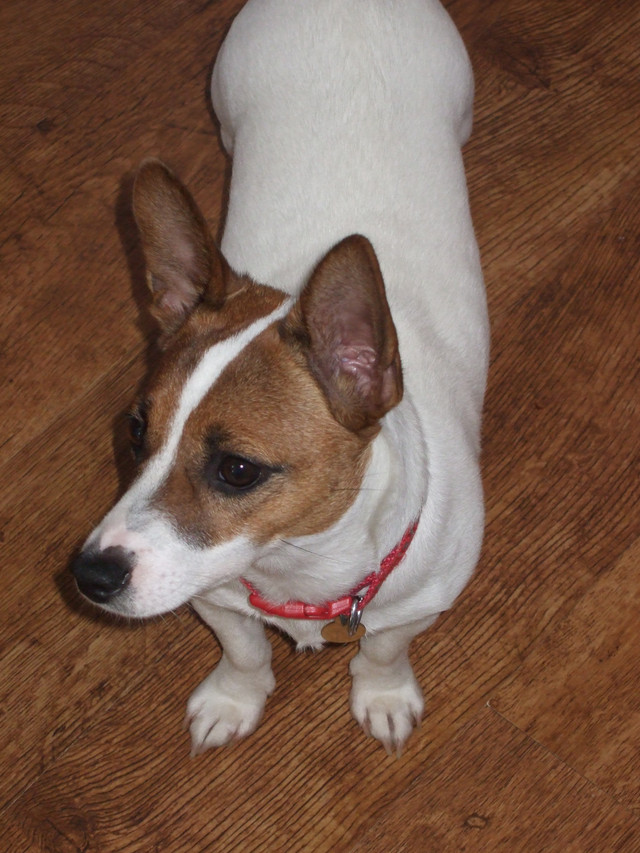 DSCF2633.JPG