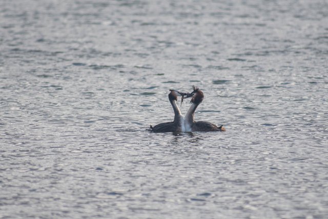 DSC_3460.jpg