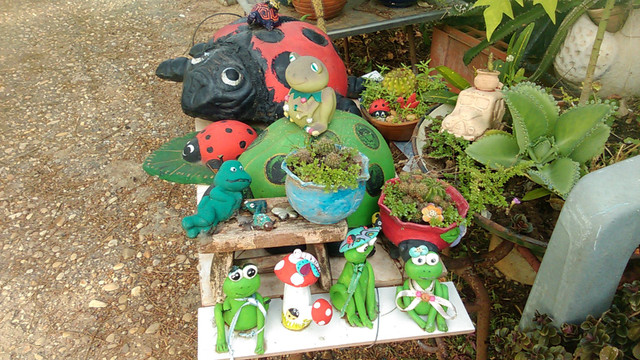 IMAG1098.jpg