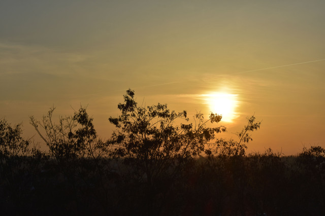 DSC_8772.jpg