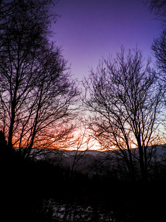 DSCF7540.JPG