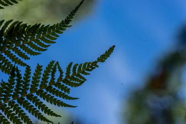 _DSC9011.jpg