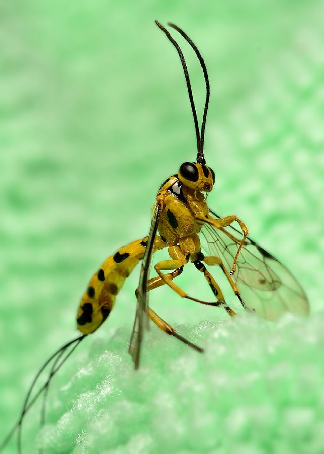 DSC_0901.jpg