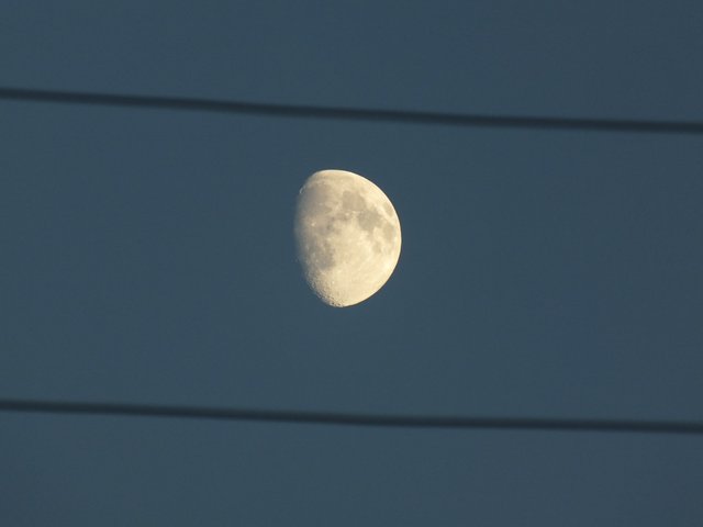 DSCF5302.JPG