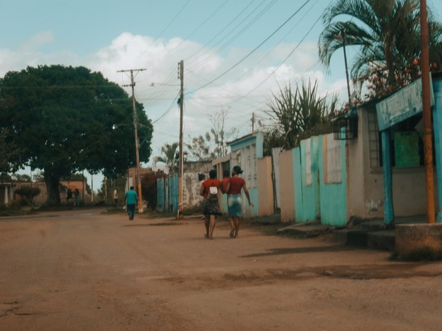 P1270019.jpg