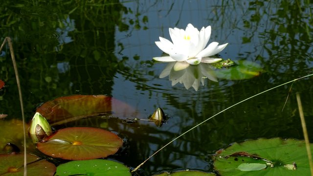 DSC00067.JPG