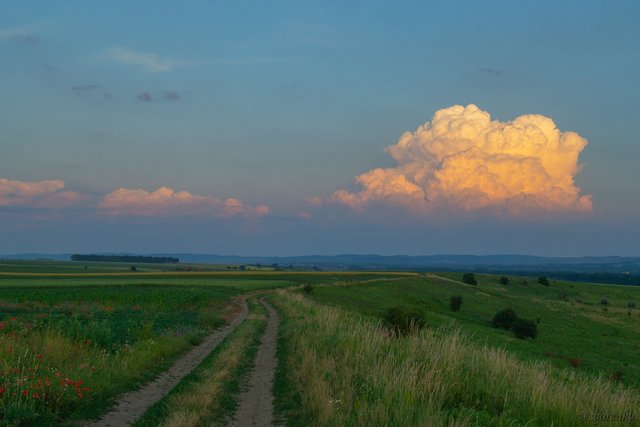 DSC_0149.jpg