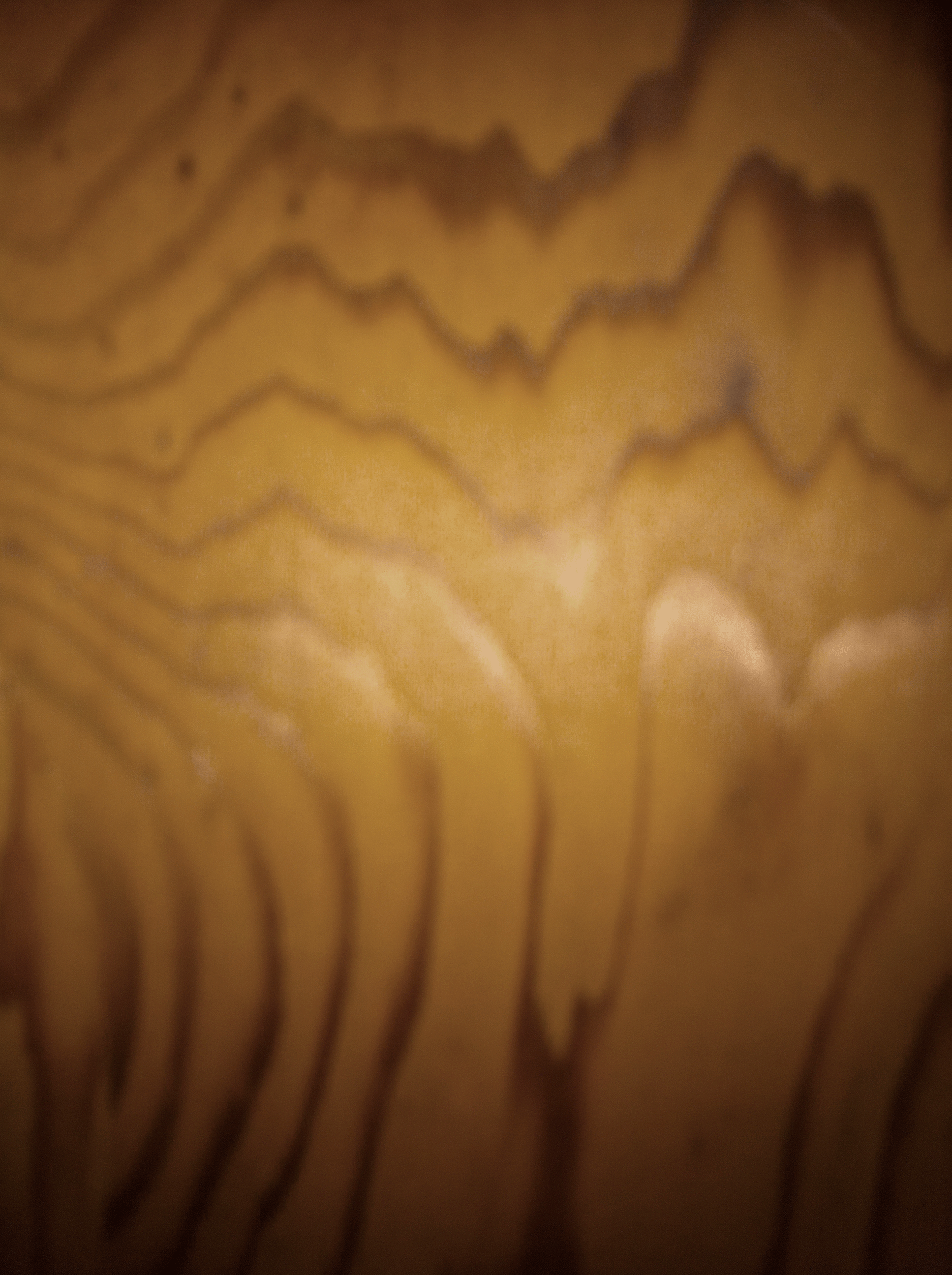 IMG_0840.gif