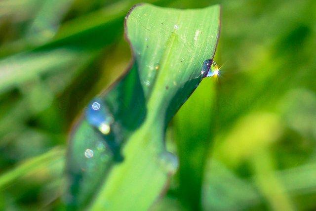 DSC_3739.jpg