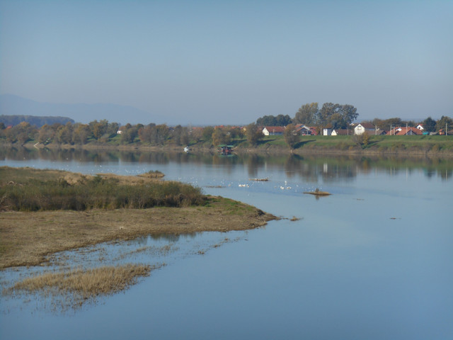 DSCN4305.JPG
