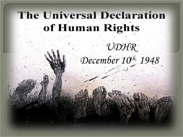 United Nation- Universal Declaration of Human Rights: The Definitive ...