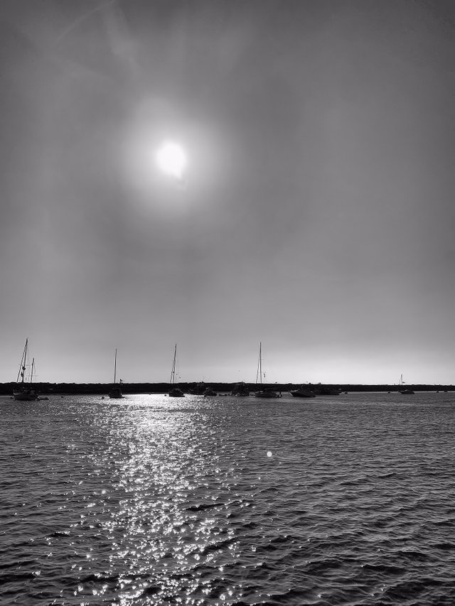 IMG_2294.jpg