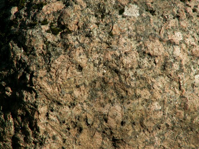 PICT0042.jpg