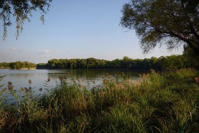 DSC_0033.jpg