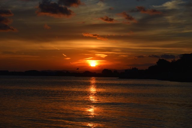 DSC_4174.jpg