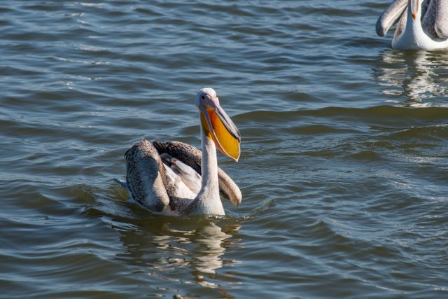 DSC_7317.jpg