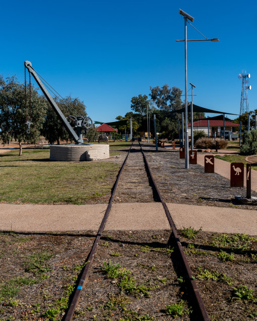 A1V07115.jpg