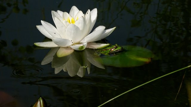 DSC00065.JPG