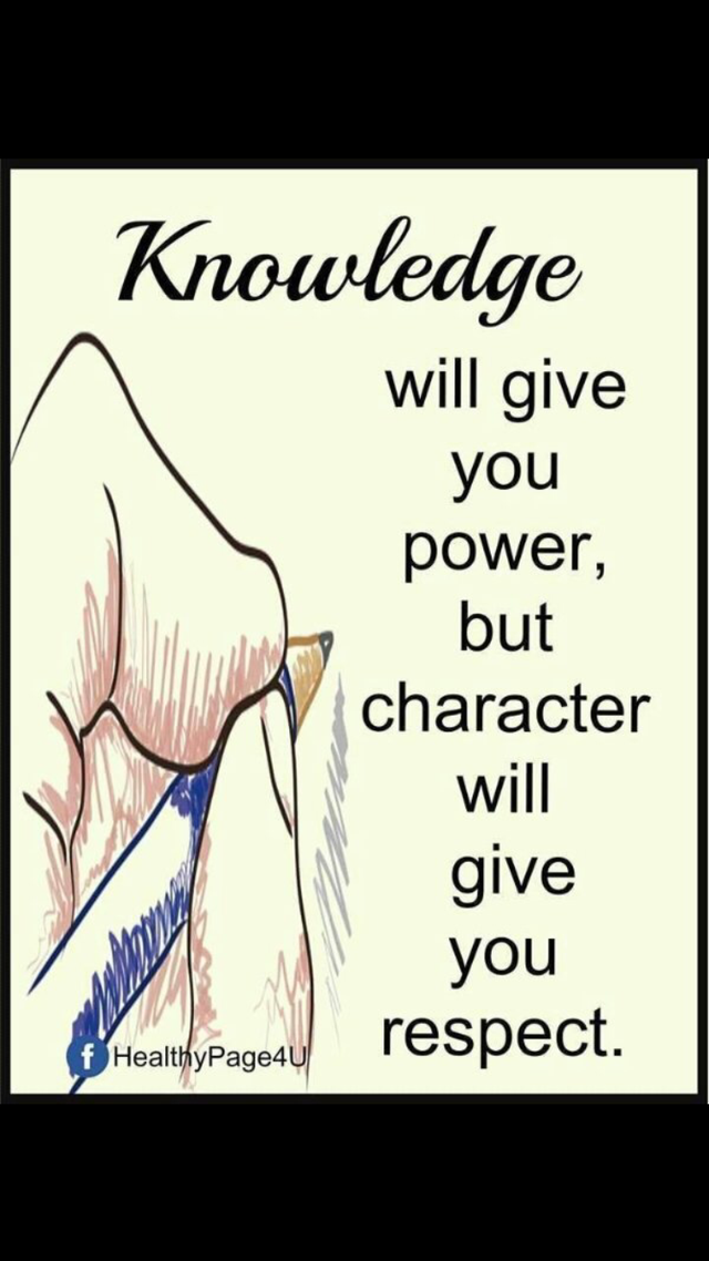 IMG_1565.PNG