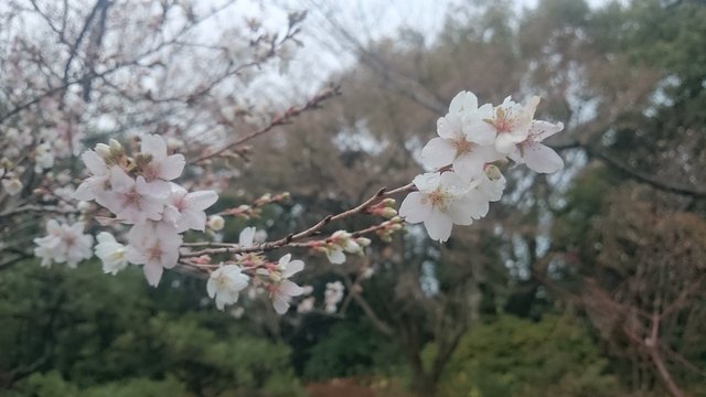 DSC_0121.JPG