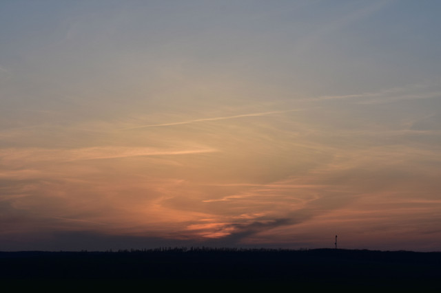 DSC_8929.jpg