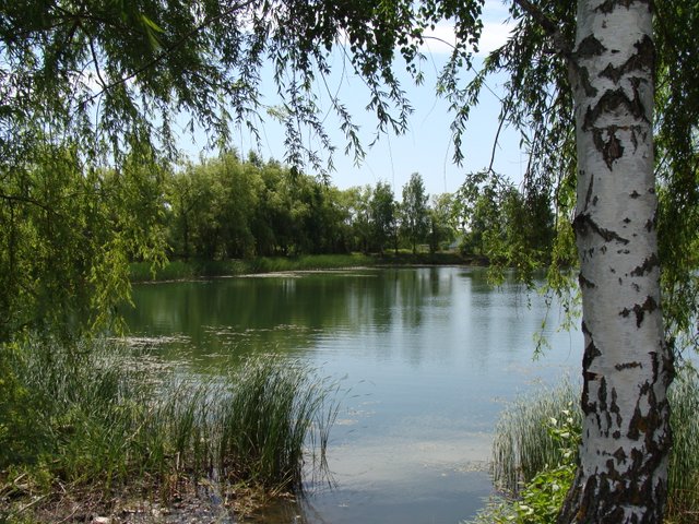 DSC04915.JPG