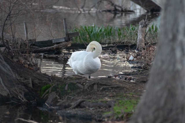 DSC_3619.jpg