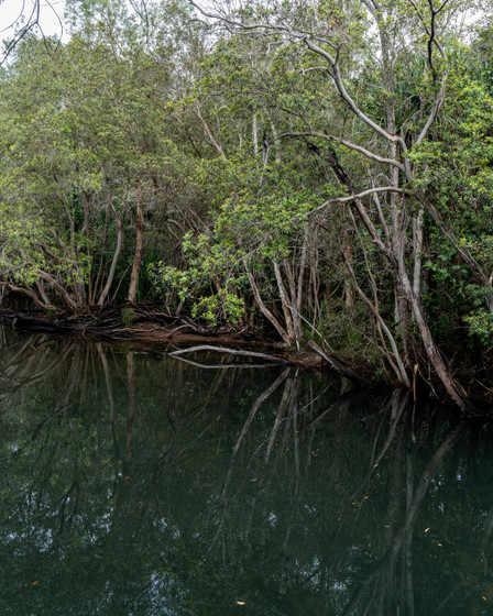 A1V07855.jpg