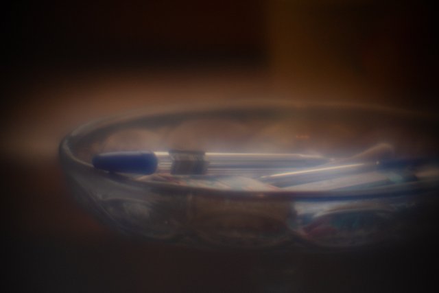 DSC00586.jpg