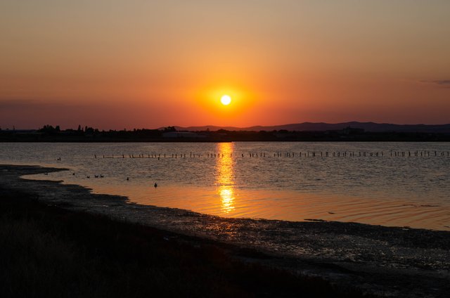 DSC_0011.jpg