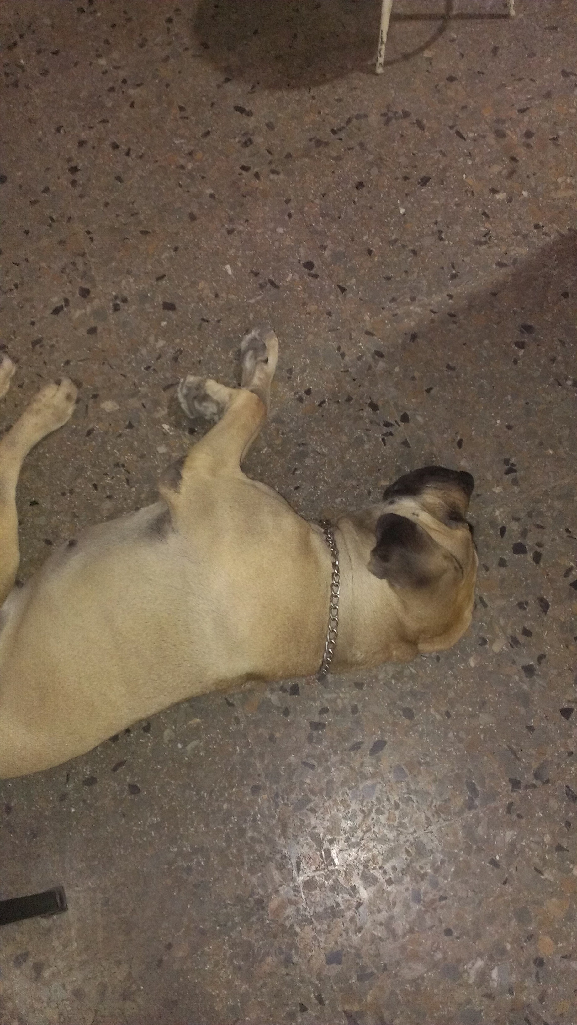 IMAG0458.jpg