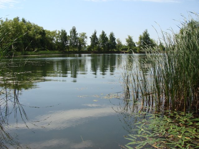 DSC04902.JPG