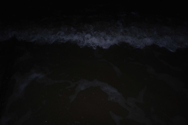 DSCF9768.jpg