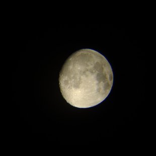 DSC_0029.jpg