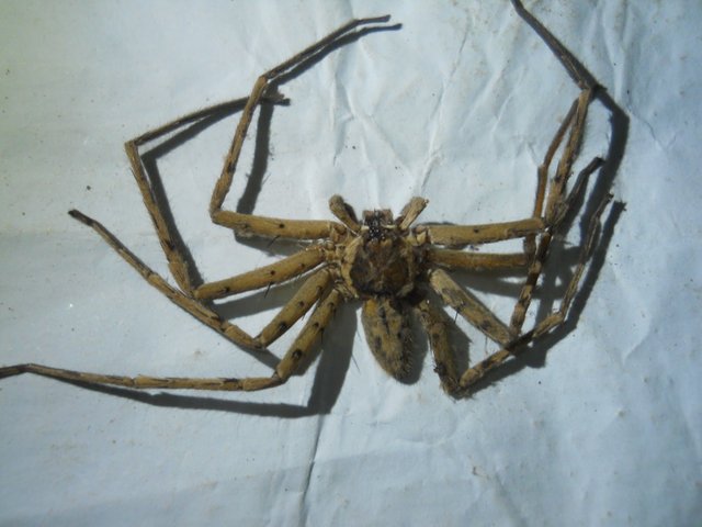 DSCN3853.JPG