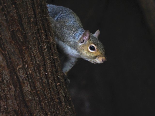 PA030133.jpg