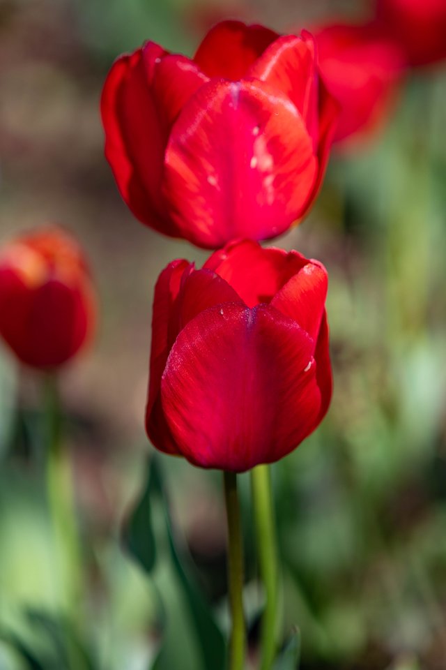 DSC_5500.jpg