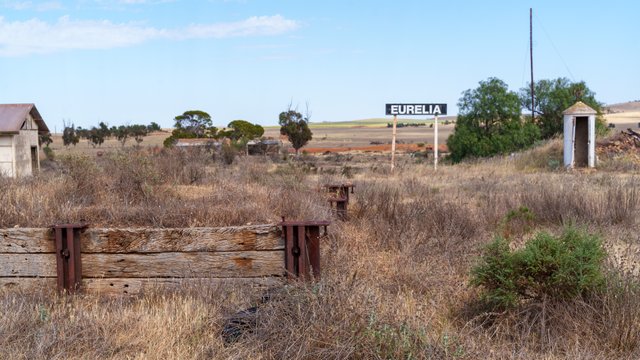 A1V02032.jpg
